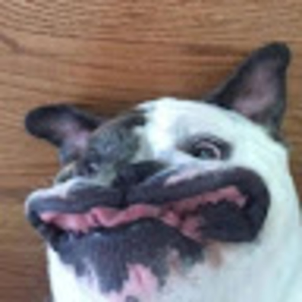 Meet your Posher, Makenna